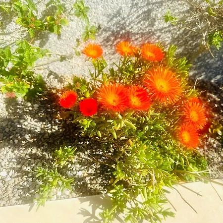 Sea Breeze I * La Manga del Mar Menor
