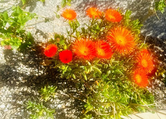 Sea Breeze I * La Manga del Mar Menor